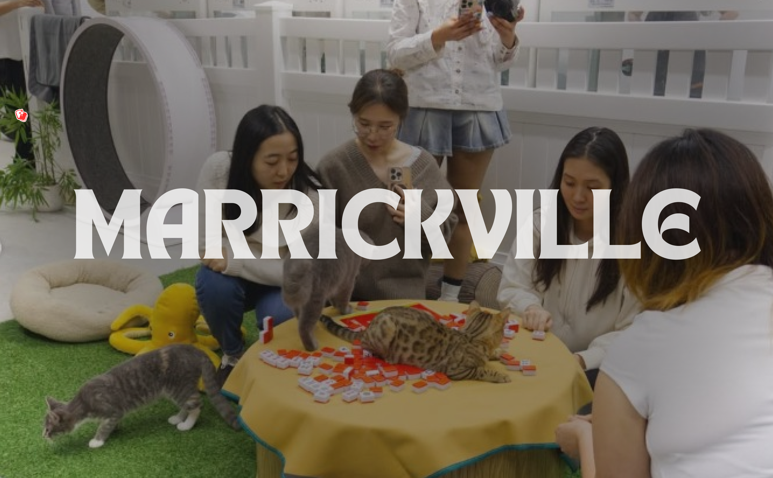 Sydney Meowjong Party